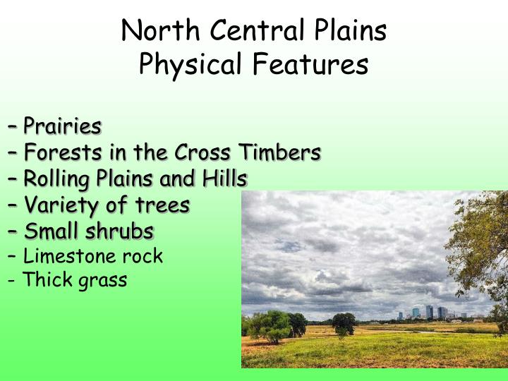 PPT Regions of Texas PowerPoint Presentation ID291866