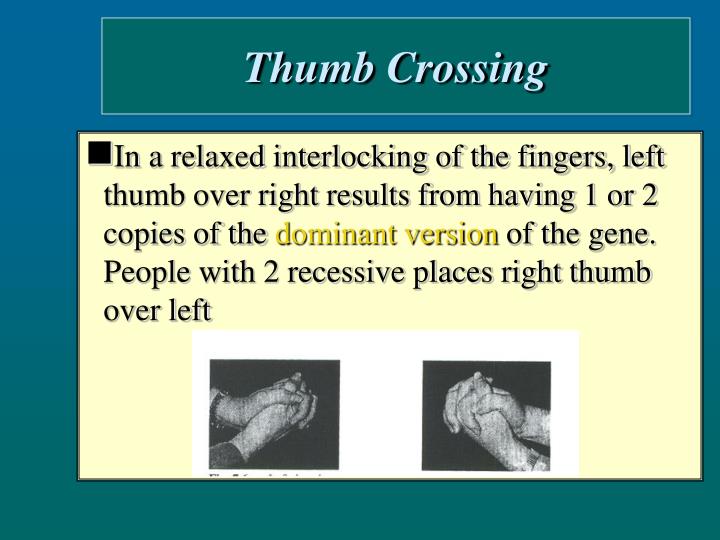PPT Human Dominant & Recessive Traits PowerPoint