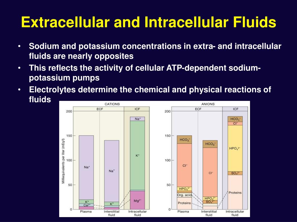 extracellular fluid consists of extracellular fluid consists of
