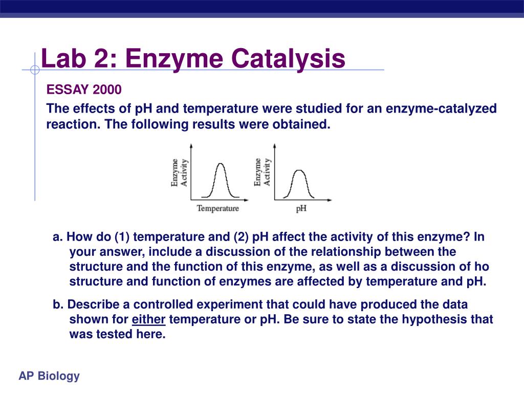 enzyme lab write up Restriction enzyme ap lab write-up guidelines due fri, 1/17 or thurs, 1/16 by 3:30 for +5 title i introduction general overview purpose/explanation of lab. enzyme lab write up Restriction enzyme ap lab write-up guidelines due fri, 1/17 or thurs, 1/16 by 3:30 for +5 title i introduction general overview purpose/explanation of lab.
