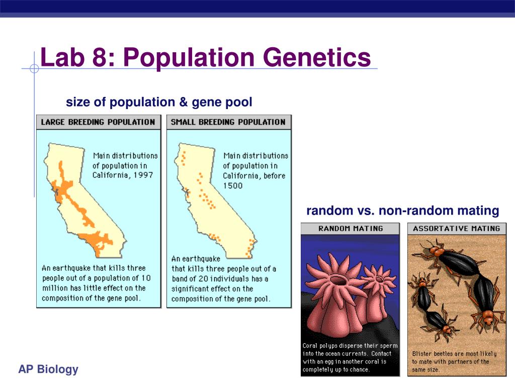 population genetics research papers Additional coursework on resume computer science population genetics phd whether you need to deliver a phd dissertation or a high-school research paper. population genetics research papers Additional coursework on resume computer science population genetics phd whether you need to deliver a phd dissertation or a high-school research paper.