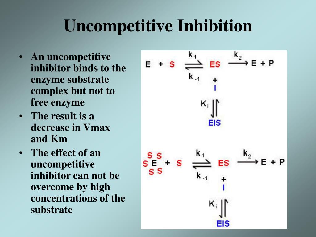 PPT Enzyme PowerPoint Presentation ID305372