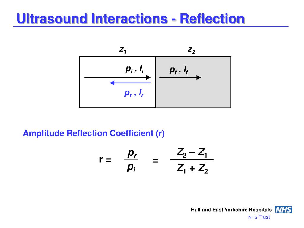 download dissections: