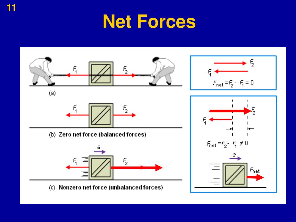 Net Force Calculation Example