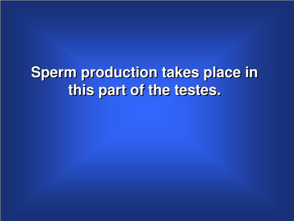 place of sperm production place of sperm production