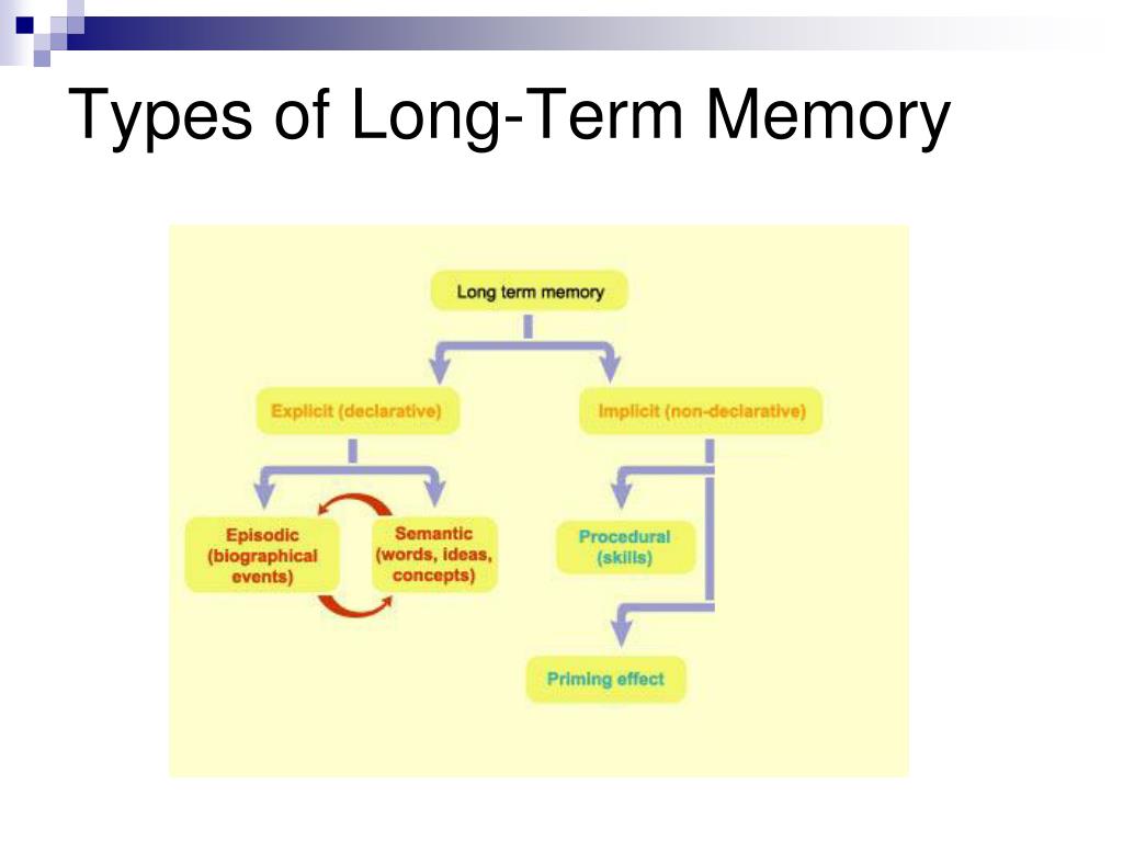 Types Of Long Term Memory