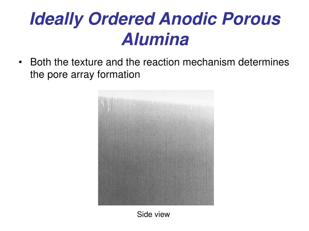 Porous Alumina Template Ppt Nanowire Fabrication Based On Porous Alumina Template Powerpoint Presentation Id 321509 Porous Alumina Template Ppt Nanowire Fabrication Based On Porous Alumina Template Powerpoint Presentation Id 321509