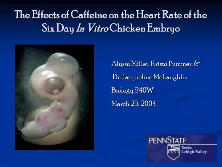 an analysis of the effects of caffeine on the heart rate In this science buddies science project, you will test whether caffeine has an effect on heart rate, using the freshwater crustacean, daphnia magna, as an experimental model system. an analysis of the effects of caffeine on the heart rate In this science buddies science project, you will test whether caffeine has an effect on heart rate, using the freshwater crustacean, daphnia magna, as an experimental model system.