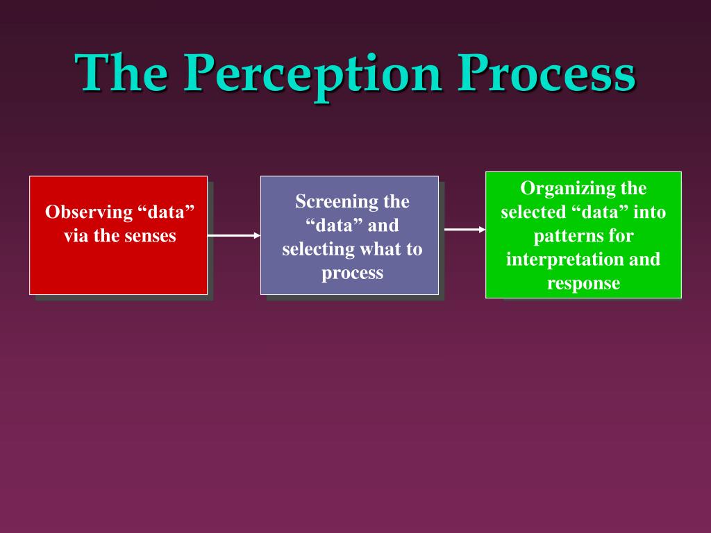 Perception And Process Of Perception