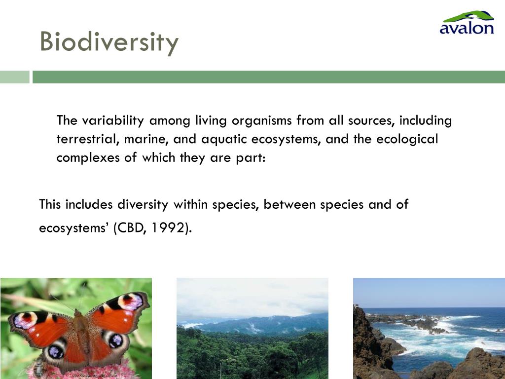 Biodiversity strategy cbd