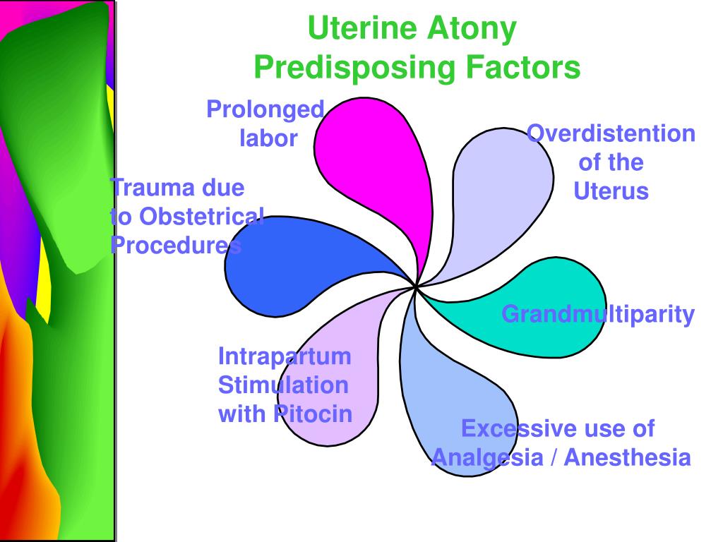 Ppt Complications Of Postpartum Powerpoint Presentation Id 343782