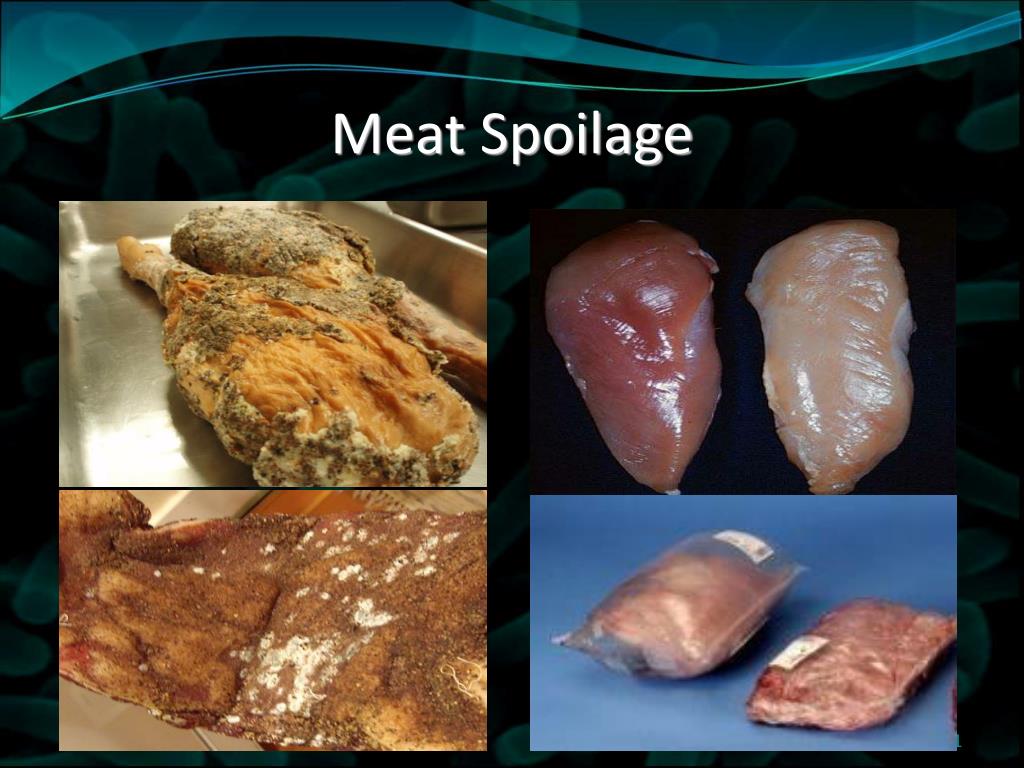 food spoilage Spoilage is the process in which food deteriorates to the point in which it is not edible to humans or its quality of edibility becomes reduced various external forces are. food spoilage Spoilage is the process in which food deteriorates to the point in which it is not edible to humans or its quality of edibility becomes reduced various external forces are.