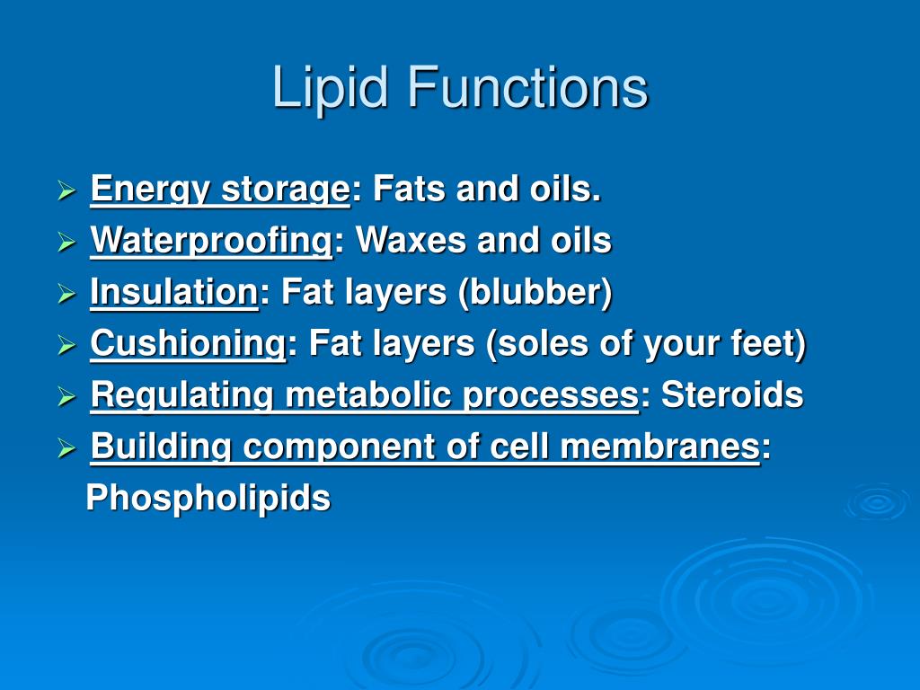 ppt-macromolecules-carbohydrates-lipids-proteins-and-nucleic-acids