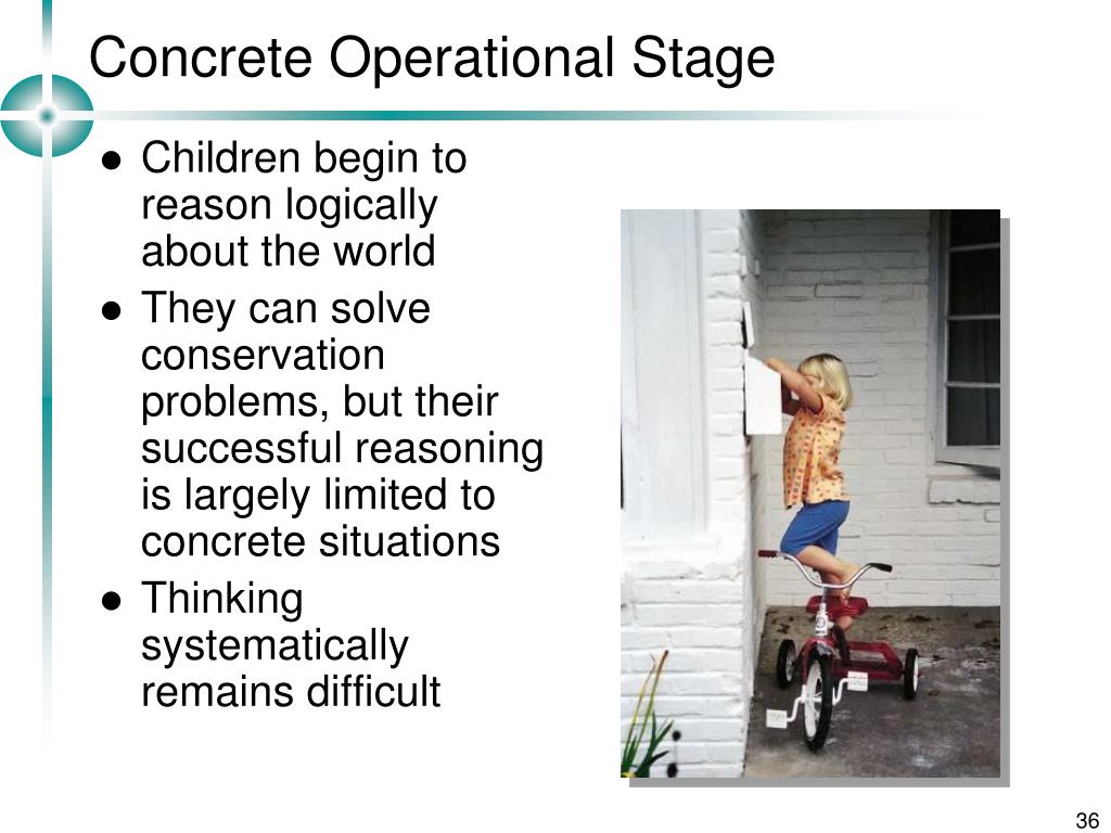 PPT - Piaget’s Theory of Cognitive Development PowerPoint Presentation