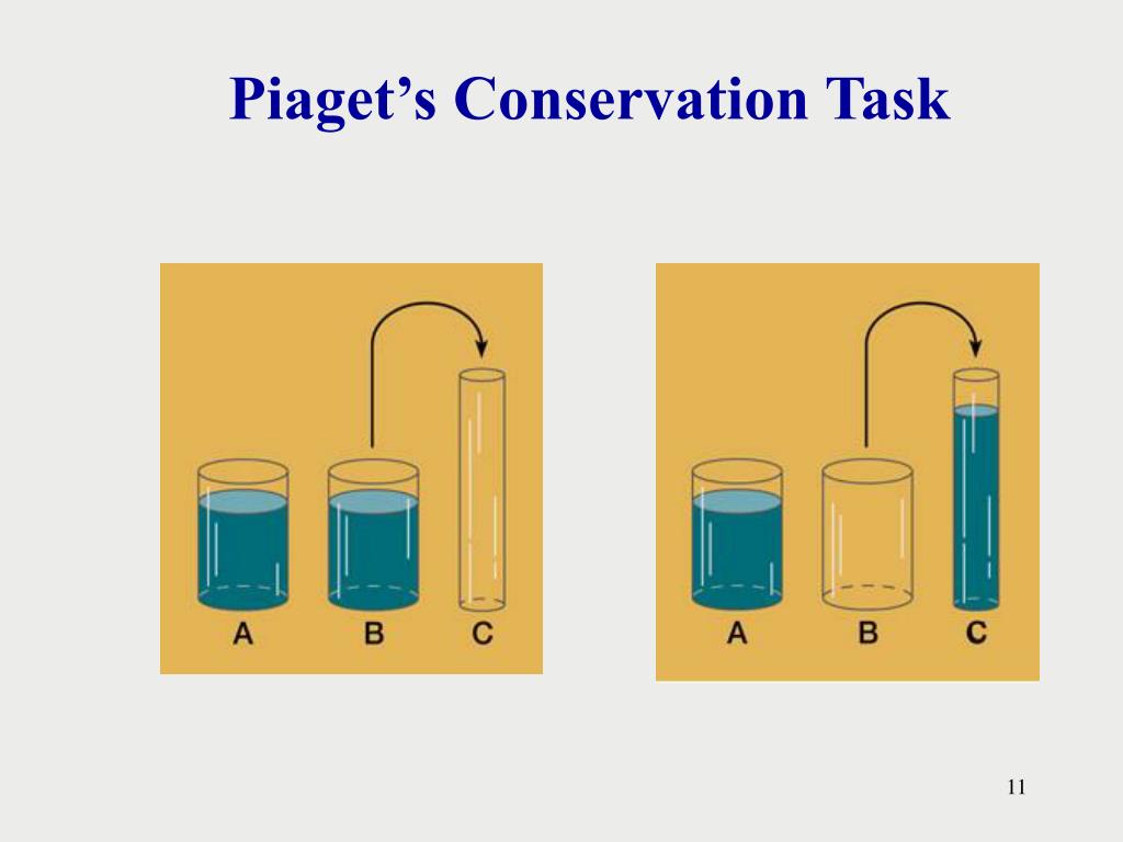 PPT Piaget’s Theory of Cognitive Development PowerPoint Presentation PPT Piaget’s Theory of Cognitive Development PowerPoint Presentation