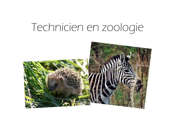 Emploi Technicien, recrutement Fès Dar Dbibegh Jobrapido