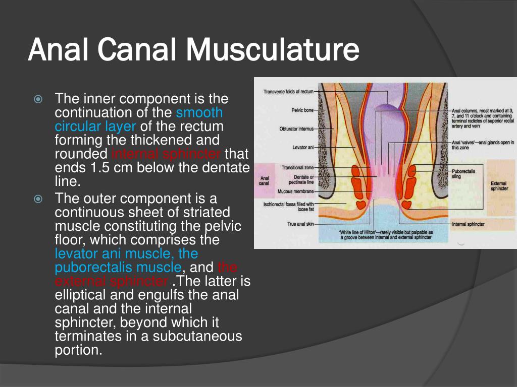 is canal the deep How anal