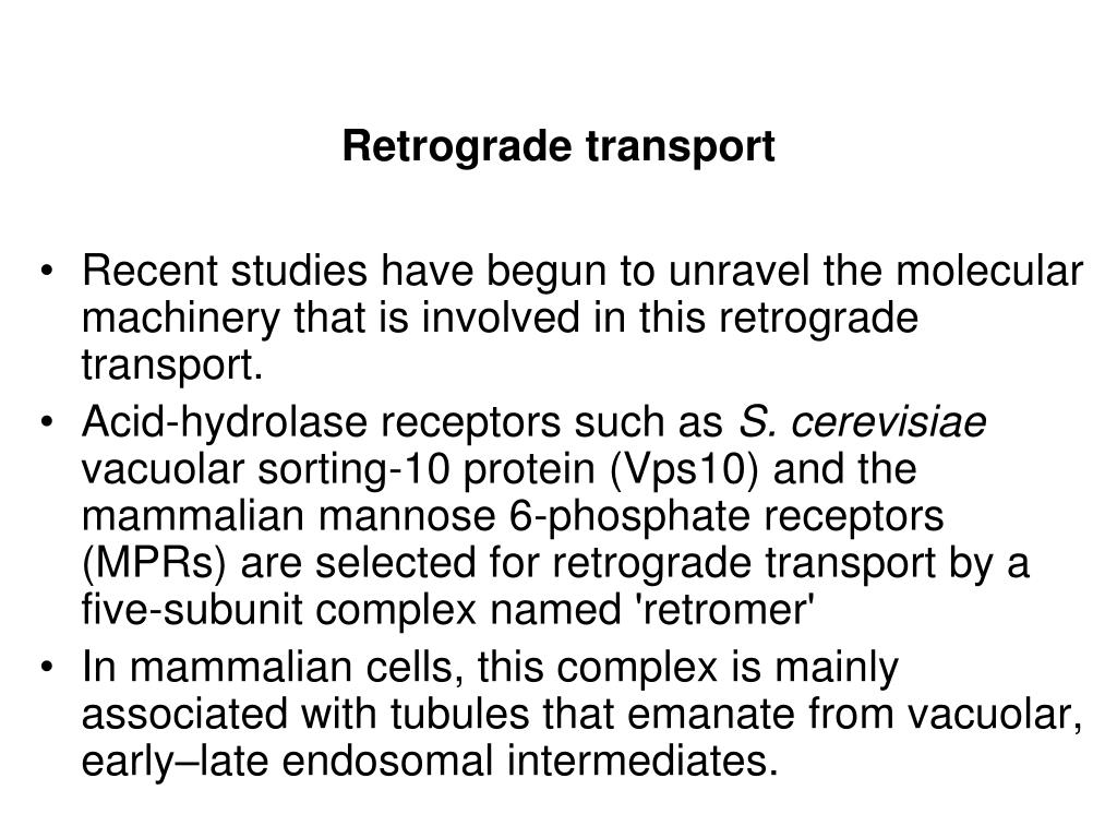 PPT The Lysosome and Lysosomal Storage Disorders (LSD) PowerPoint