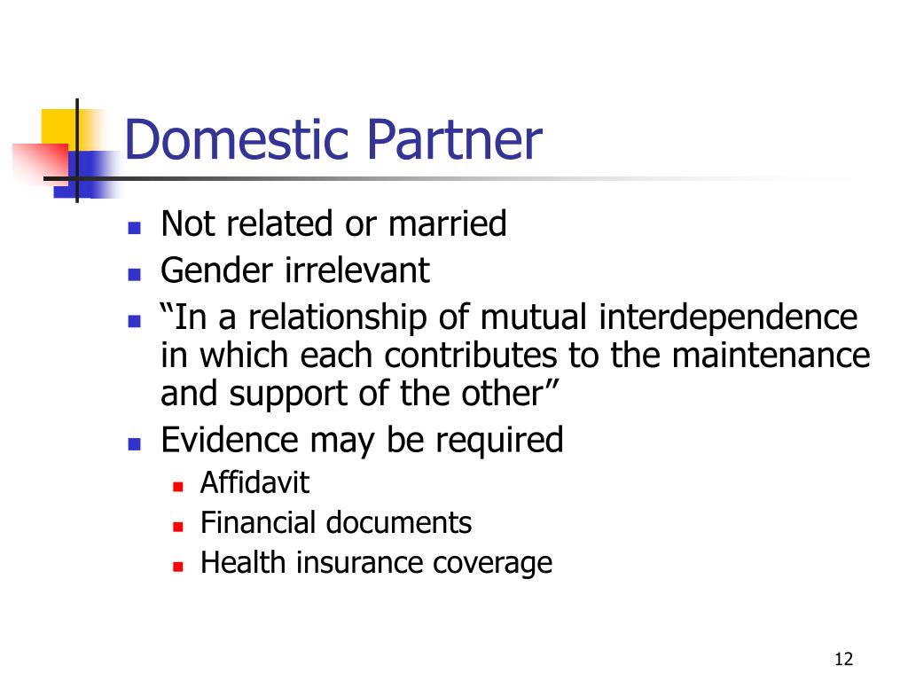 Domestic Partner