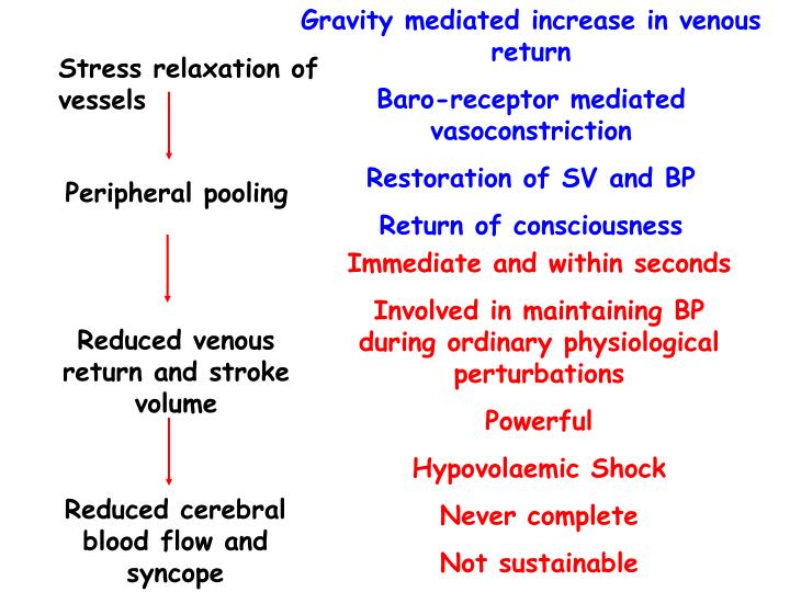 Long term regulation of blood pressure