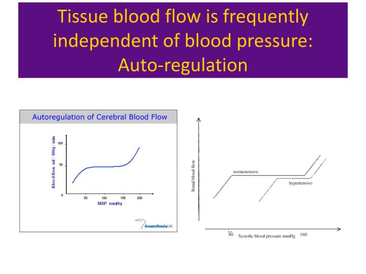 Long term regulation of blood pressure