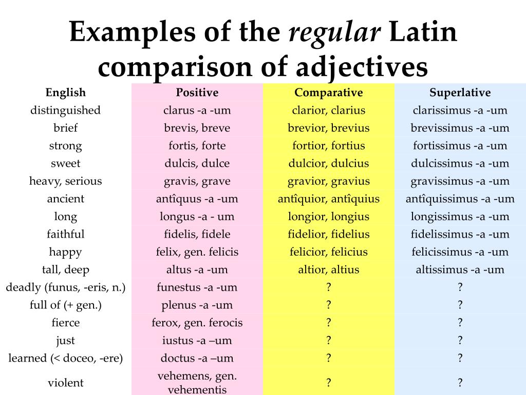 Latin Comparative Superlative Degrees Of Adjectives Worksheet Murphy