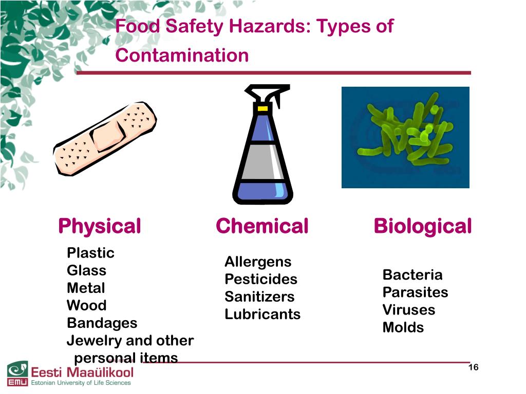 PPT - HACCP and Food Hygiene in Small Business. PowerPoint ...