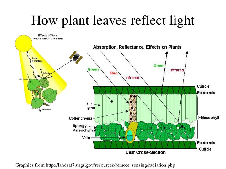 PPT Hyperspectral Remote Sensing PowerPoint Presentation ID401270