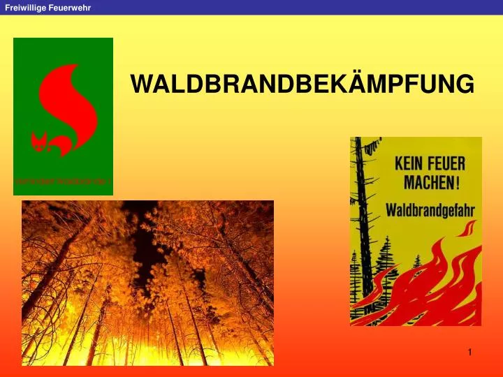 PPT - WALDBRANDBEKÄMPFUNG PowerPoint Presentation - ID:403170