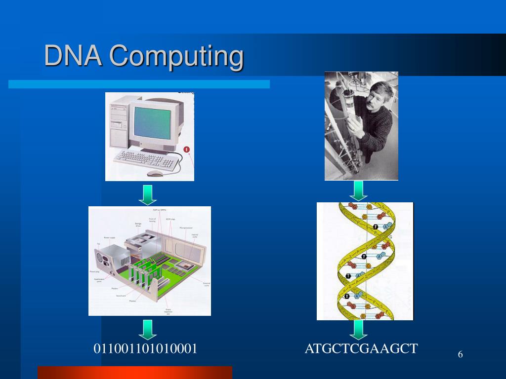 shop the mystery of knots computer programm computer