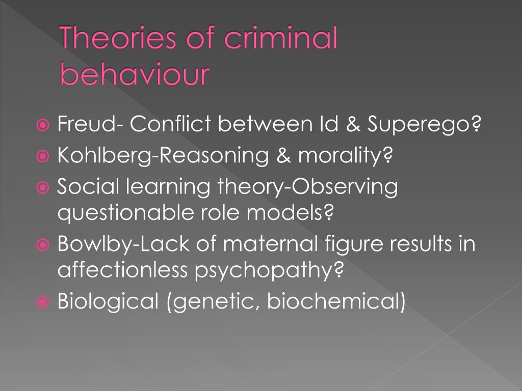 The Theories Of Crime And Criminal Behavior