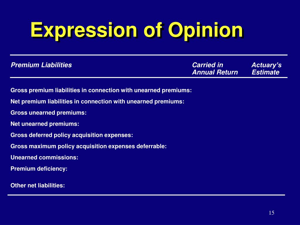 Explanation Bond Issue Price