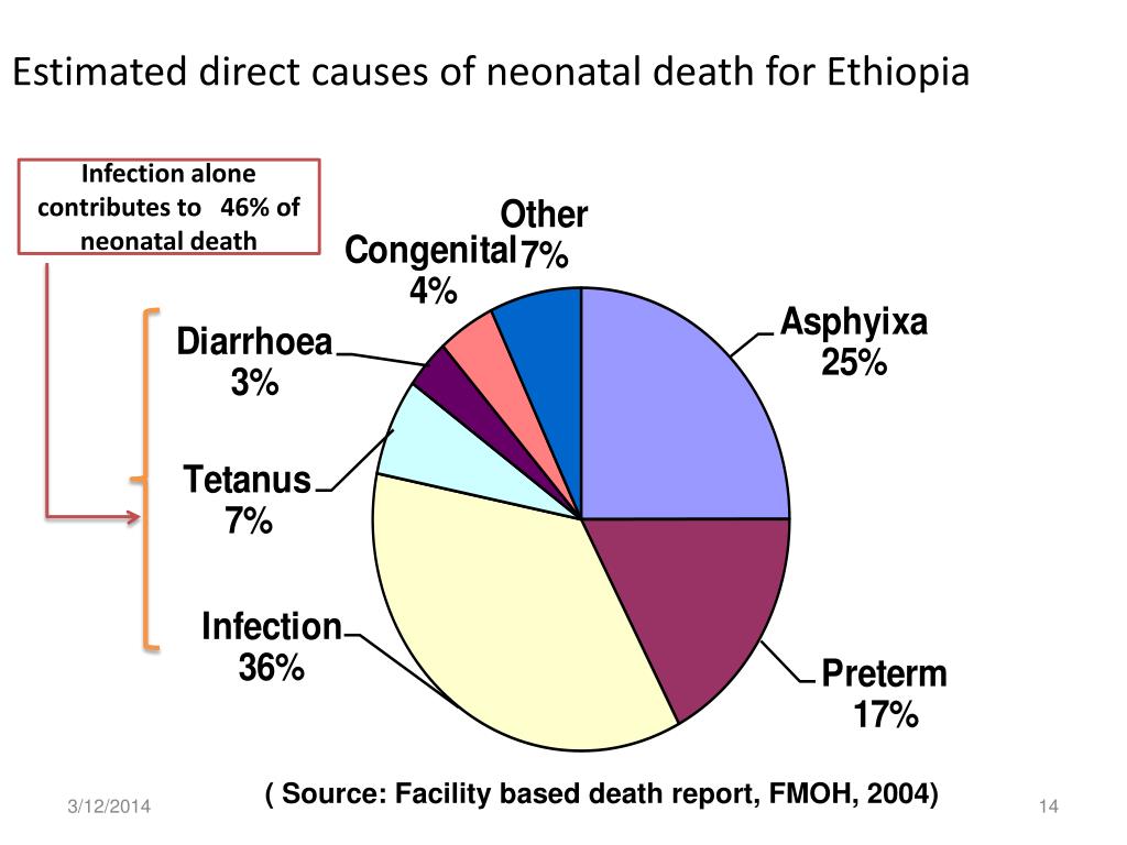 PPT - Nutritional problems of children in Ethiopia ...