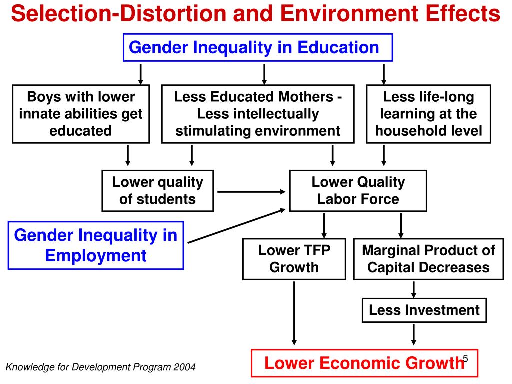 effect of gender equality in the economy Gender economic equality women’s economic empowerment has a multiplier effect on a country’s local and national well-being empowering women and promoting gender equality is crucial to accelerating development and producing more equal societies, which are important elements in preventing violent conflict some of the research. effect of gender equality in the economy Gender economic equality women’s economic empowerment has a multiplier effect on a country’s local and national well-being empowering women and promoting gender equality is crucial to accelerating development and producing more equal societies, which are important elements in preventing violent conflict some of the research.