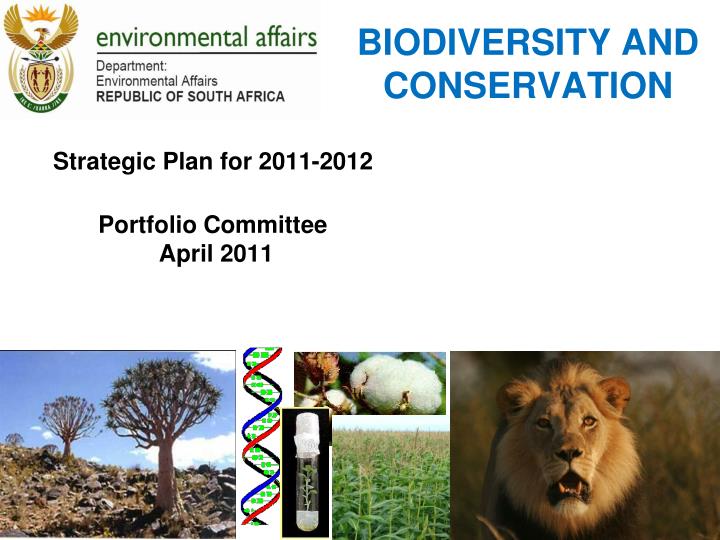 Byron biodiversity conservation strategy