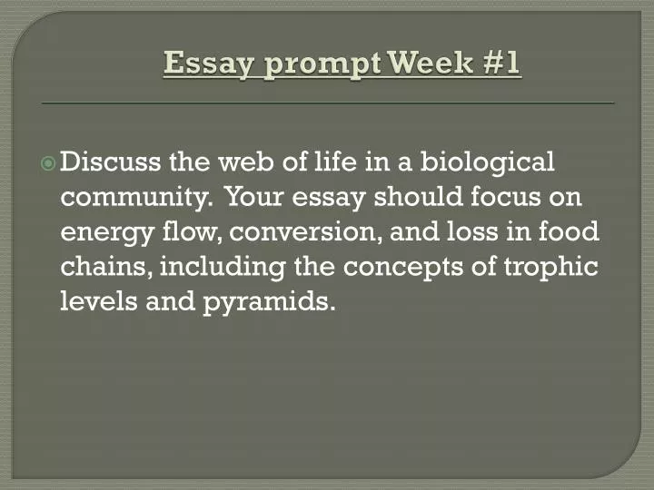 web of life essay web of life essay