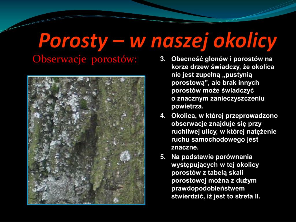 Dlaczego Porosty Nazywamy Organizmami Pionierskimi PPT - TAJEMNICE POROSTÓW R. Białek i P. Masłowski PowerPoint