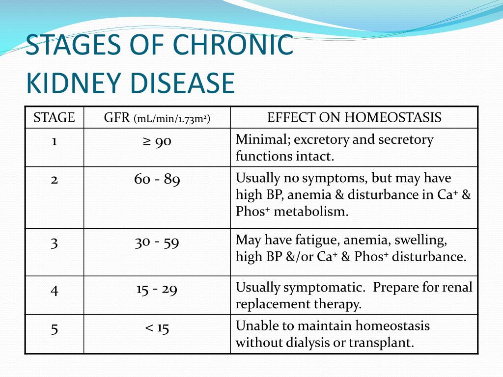 stage-four-kidney-disease-diet