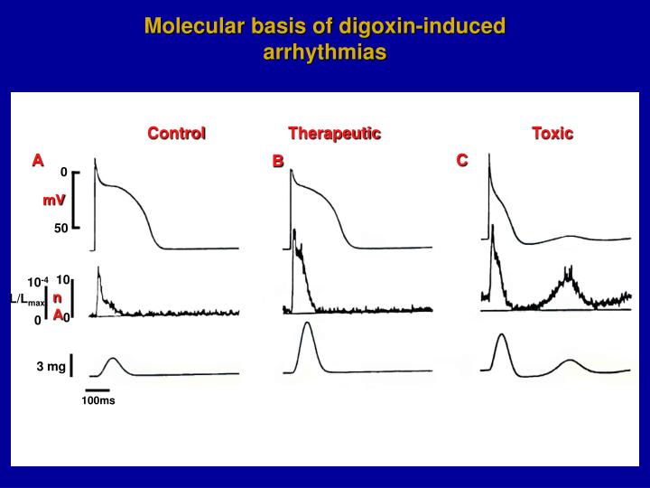PPT Digitale e Farmaci inotropi PowerPoint Presentation ID461008