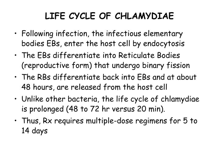 about cialis about cialis