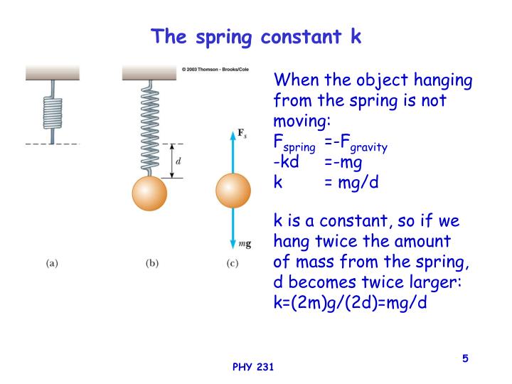 ppt-physics-231-lecture-33-oscillations-powerpoint-presentation-id