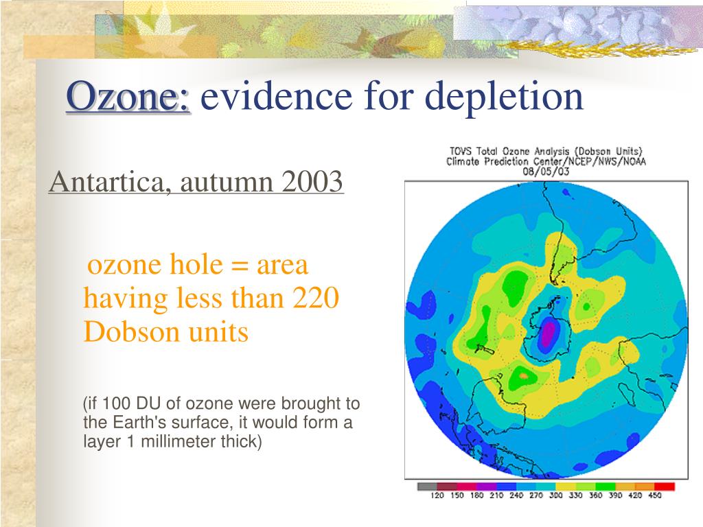 Causes and Effects of Ozone Layer Depletion That are Painfully True