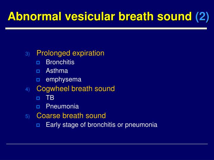 vesicular breath sounds noted bilaterally in peripheral vesicular breath sounds noted bilaterally in peripheral