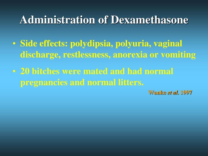 Dexamethasone For Dogs Abortion