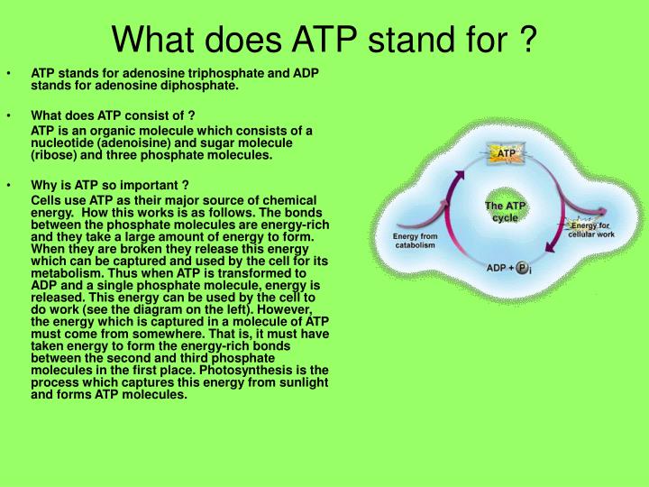 PPT Part 2 Dark Phase Of Photosynthesis PowerPoint Presentation ID 