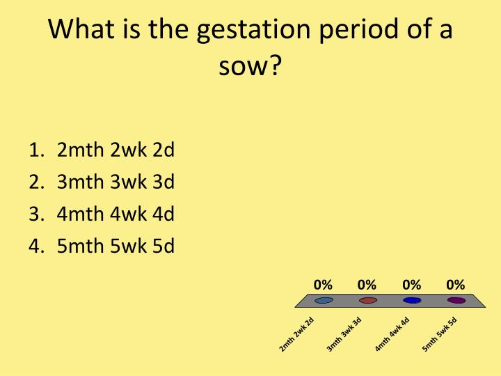 what is the gestation period for a ppt engaging students through questioning powerpoint presentation id 479512 what is the gestation period for a ppt engaging students through questioning powerpoint presentation id 479512