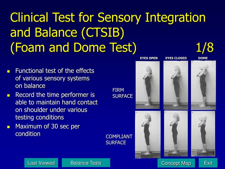 PPT Postural Control and Balance PowerPoint Presentation ID480365 PPT Postural Control and Balance PowerPoint Presentation ID480365
