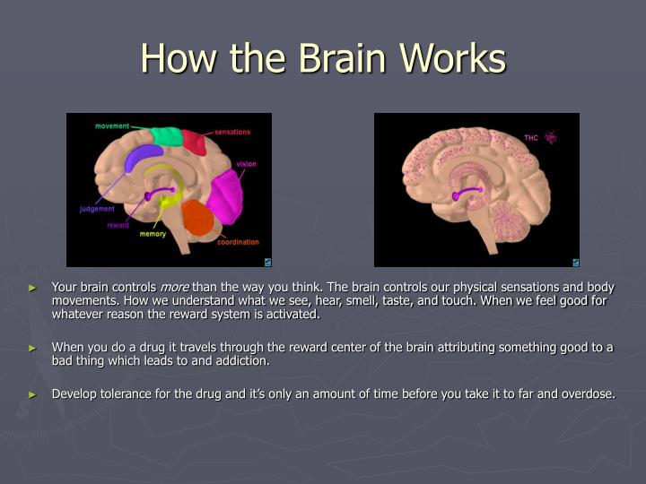 how this person's thought process succeeds article how this human mind performs article