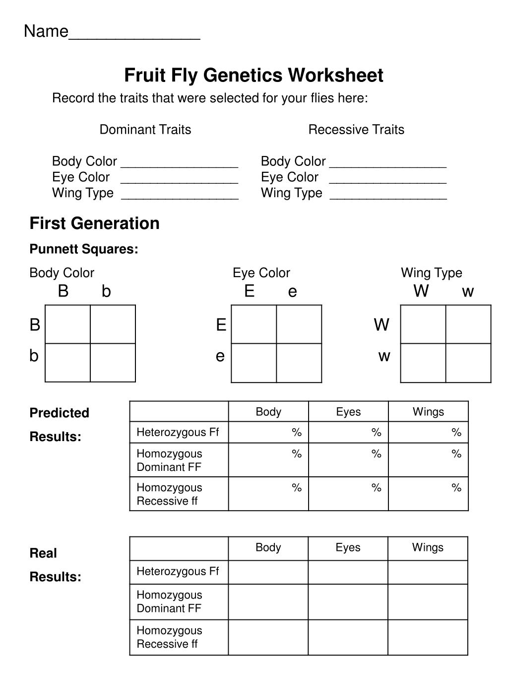 human-genetics-worksheet