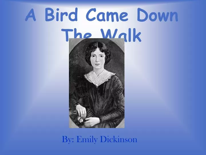 ? a bird came down the walk by emily dickinson essay For the love of fine words welcome to between the lines this blog is dedicated to the discussion of the art of writing in its many forms thanks for. ? a bird came down the walk by emily dickinson essay For the love of fine words welcome to between the lines this blog is dedicated to the discussion of the art of writing in its many forms thanks for.